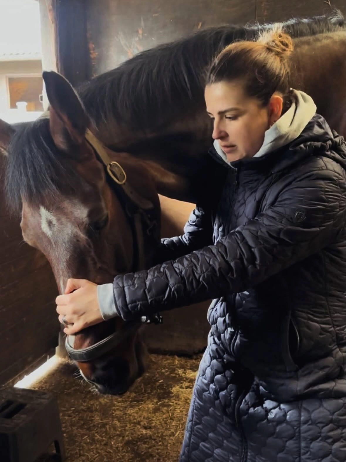 Megan Creighton, MSc veterinary physiotherapist, holding a horse's head at a yard